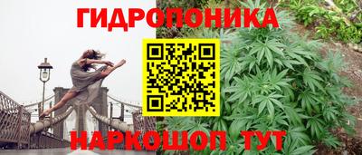 a pvp Пыть-Ях