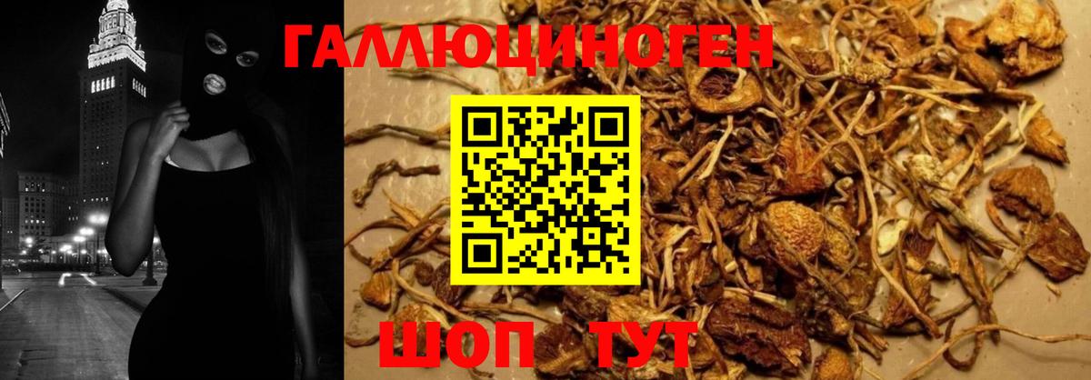 Галлюциногенные грибы Magic Shrooms Партизанск